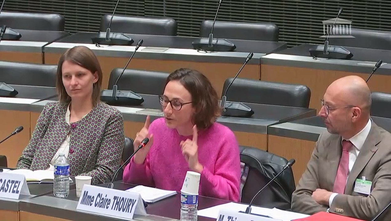 Accompagnement des malades et fin de vie : Audition de représentants du Conseil économique, social et environnemental, et de la Convention citoyenne - Vendredi 26 avril 2024