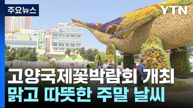 맑고 초여름 더위... 북적이는 '고양국제꽃박람회' / YTN