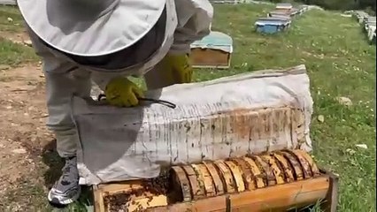 Seçimleri kaybeden ''komünist başkan'' Maçoğlu'nun yeni mesleği bu oldu