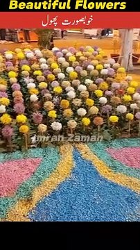 Beautiful Flowers l Imran Zaman