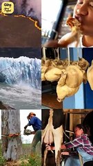 Pursuit of Purpose || Acharya Prashant