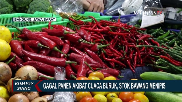 Pedagang dan Pembeli Keluhkan Stok Bawang Merah Menipis, Ternyata Ini Penyebabnya!