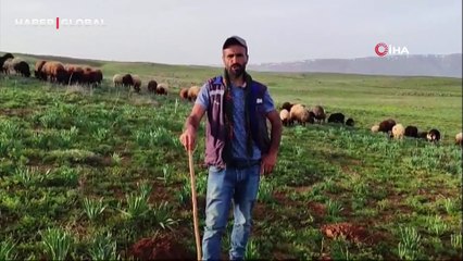 Muş semalarındaki tuhaf cisim kafaları karıştırdı! "insanı andıran bir cisim"