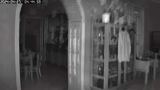 Terremoto nella notte ai Campi Flegrei, in salotto trema tutto: il video registrato da una webcam