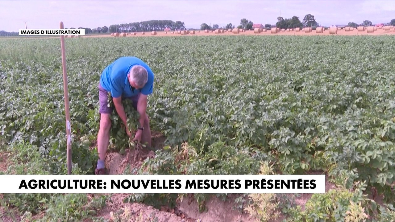 Crise agricole : le gouvernement présente de nouvelles mesures