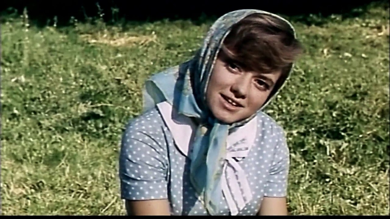 Etappenschweine (1967) stream deutsch anschauen