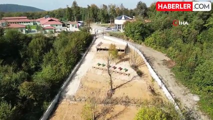 Düzce'de sokak hayvanlarına destek