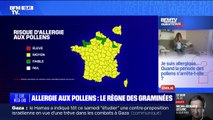 Quand est-ce que la période des pollens s'arrête-t-elle? BFMTV répond à vos questions