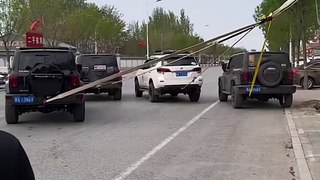 four  car pull tree