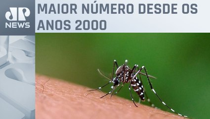 Brasil registra quase 3,9 milhões de prováveis casos de dengue