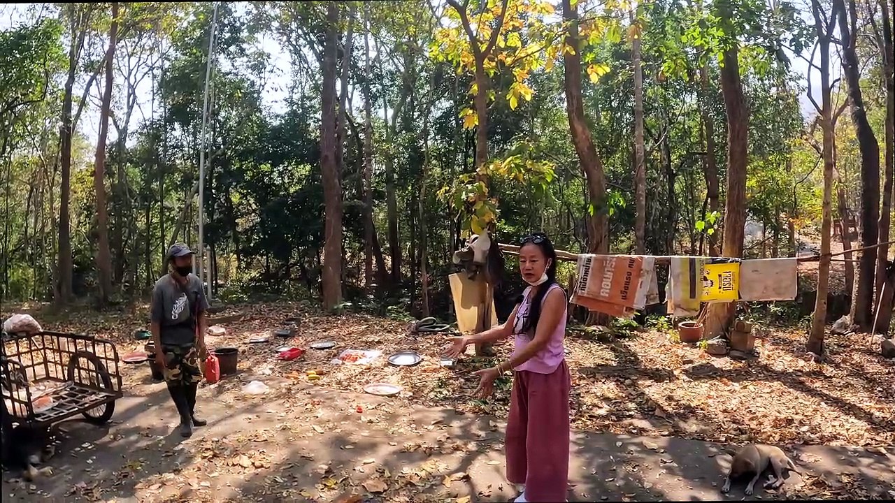 8 tote Hundewelpen. Wie geht es dort im Wald weiter_ Wir bringen Spenden und schauen, wo es brennt.