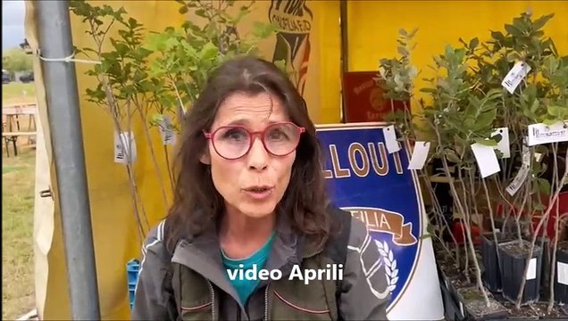 Fiera del Madonnino e Game Fair, dal tartufo alle macchine agricole ? una festa per tutti i gusti