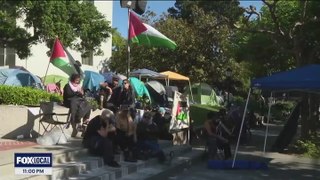 Pro-Palestinian protesters camp in tents at 40 top US universities