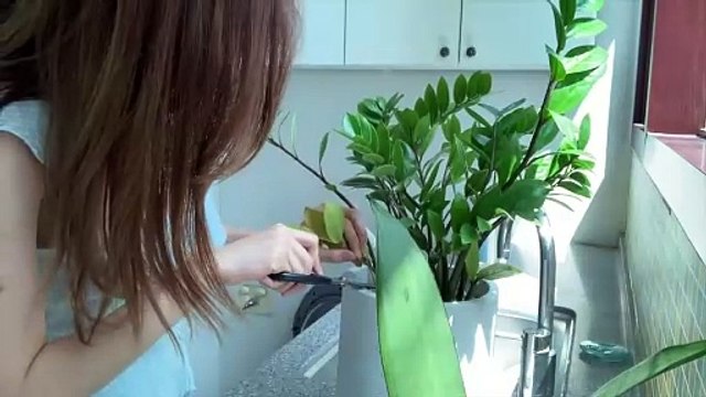 ENG 「SEAO」 Vlog about doing laundry and unboxing gifts Unboxing ㅣVLOG