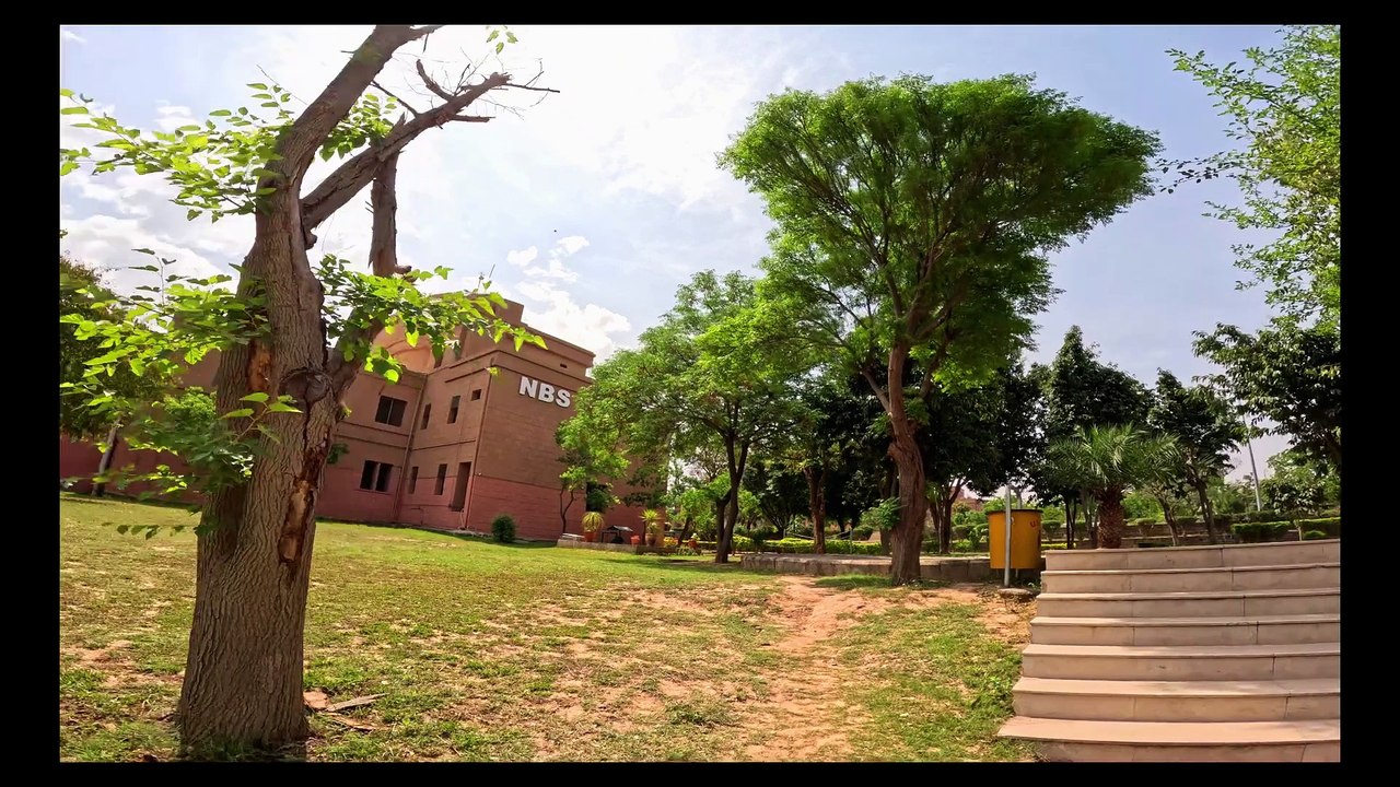 Beautiful 4K Ultra HD #trending #viral #foryou #reels #beautiful #love #funny #delicious #fun #love #yummy #tiktok #facebook #reel #status #whatsapp #trend