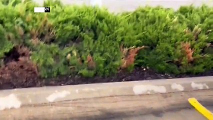 أعاصير تضرب وسط الولايات المتحدة