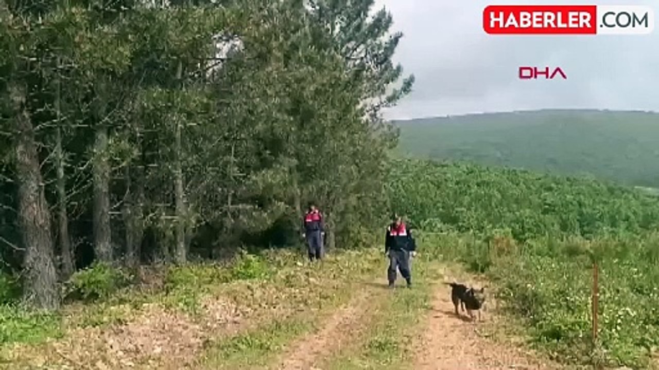 Ormanlık alanda bulunan kemik parçalarından alınan DNA, kayıp ekonomist Korhan Berzeg'in kızıyla eşleşti