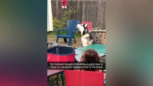 Funny Girls Fails 2024 TRY NOT TO LAUGH, Best Funny Videos Compilation, Best Girl Fails Of The Year Memes 2024 Instant Regret Compilation 2024 #77