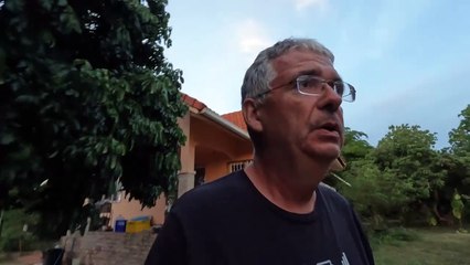 Abendspaziergang im Garten und Teichupdate