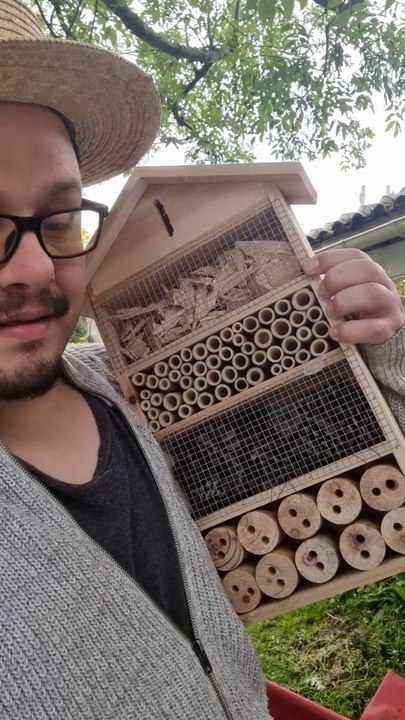 J'installe un Hôtel à insecte et je plante des fleurs pour les polinisateurs ! #DailySeMetAuVert (Exclusivité Dailymotion) !