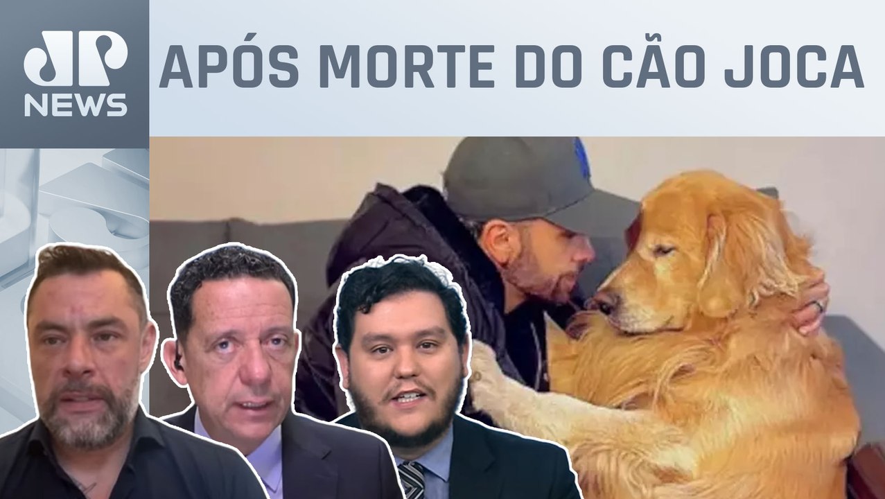 Empresas aéreas avaliam rastrear animais transportados em aeronaves; Marangoni analisa