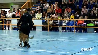 Exhibición de las Unidades Caninas de la Policía Nacional en el Torneo del Bicentenario de Basket