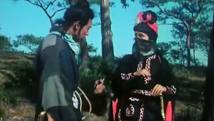 云海玉弓缘 The Jade Bow (1966)  陈思思-傅奇主演
