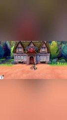 Pokemon Shield Shiny Hunting Litten For my girlfriend part 01