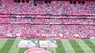 Benfica video 1