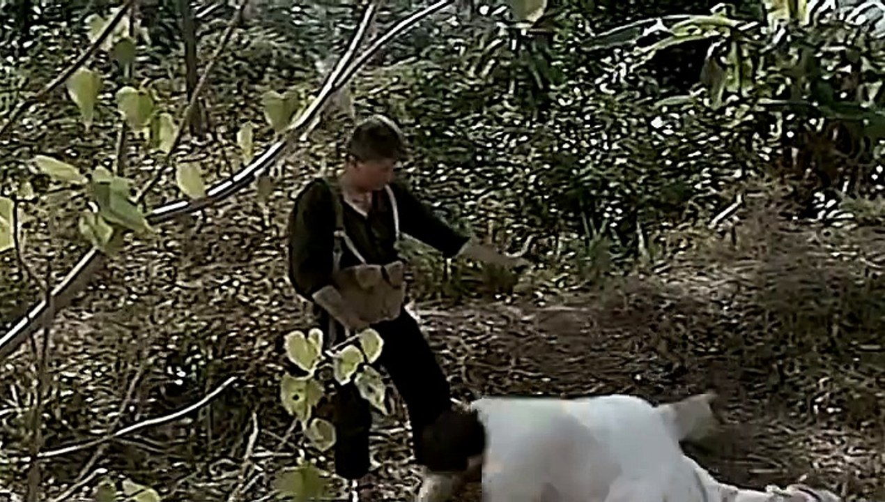 The Iron Triangle - Das eiserne Dreieck (1989) stream deutsch anschauen