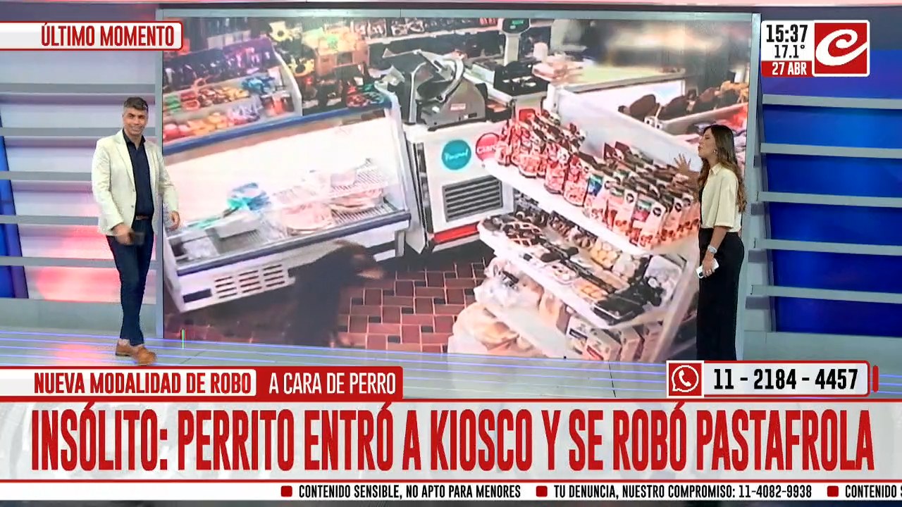 Perros