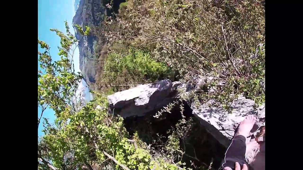 Wild area - a film by Peter Siegfried Krug