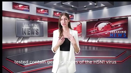 Bird flu_ one in five US commercial milk samples