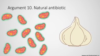 Garlic is a natural antibiotic