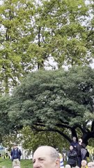 14 de Abril de 2024 Homenaje a los Caídos en la Lucha Contra la Sedición, Convocado por la Asociación Patriótica “14 de Abril de 1972”