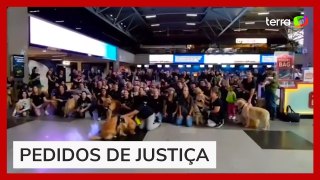 Após morte de Joca, tutores de cães protestam em aeroporto do Paraná
