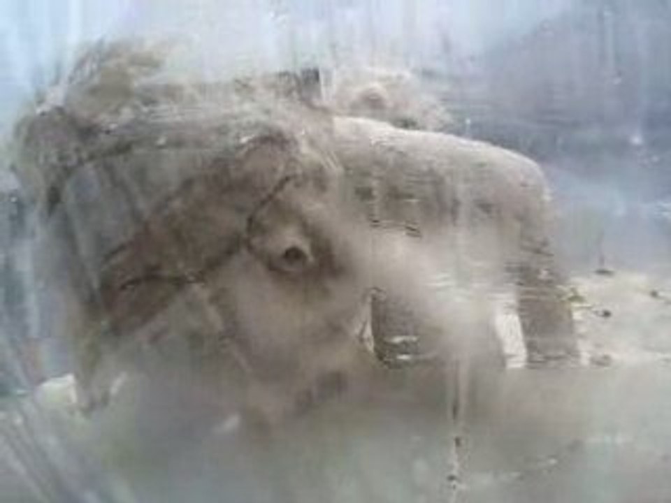 Une créature bizarre à la fête de la Scie Harfleur 2008