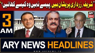 ARY News 3 AM Headlines | 28th April 2024 | Sharif, Zardari Pareshan Hain,