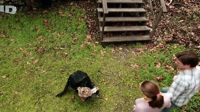 Meurtres entre amis Suis le plan