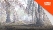 Kawasan Beris Lalang terbakar lagi