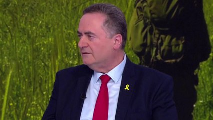 이스라엘 외무 "인질 협상 타결되면 라파 침공 중단" / YTN