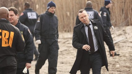 Blue Bloods