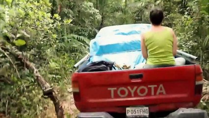 Naachtun - La cité maya oubliée _ ARTE