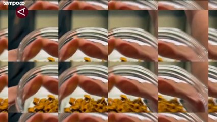 Mencicipi Ragam Rasa Jamu Modern Ala Kafe