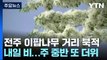 [날씨] 휴일 30℃ 안팎 더위...전주 이팝나무 거리 북적 / YTN