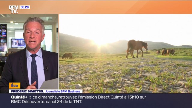 Adrénaline, nature, calme... À quoi rêvent les Français pour leurs vacances?