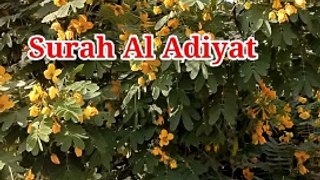 Surah Al Adiyat | Tilawat quran beautiful voice | Learn Quran | Tajwed quran