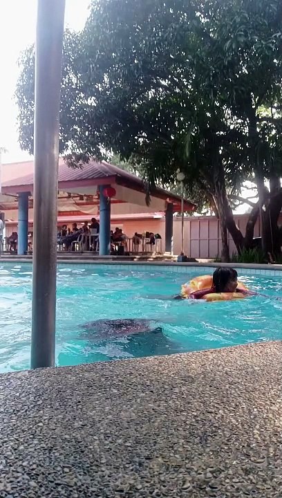 miming