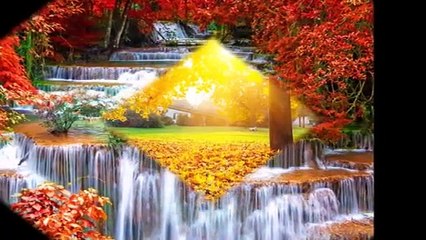 Сергей Васюта Майские зори 1990