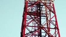 Birds in the Tower